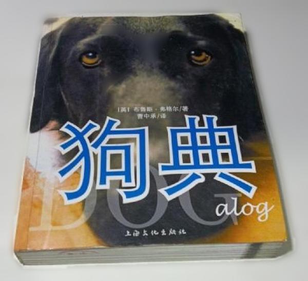 狗典