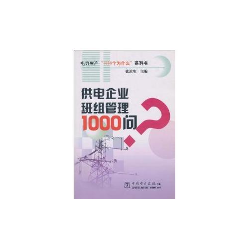 供电企业班组管理1000问/电力生产1000个为什么系列书