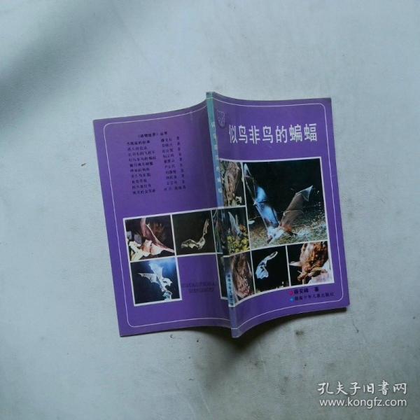 似鳥非鳥的蝙蝠