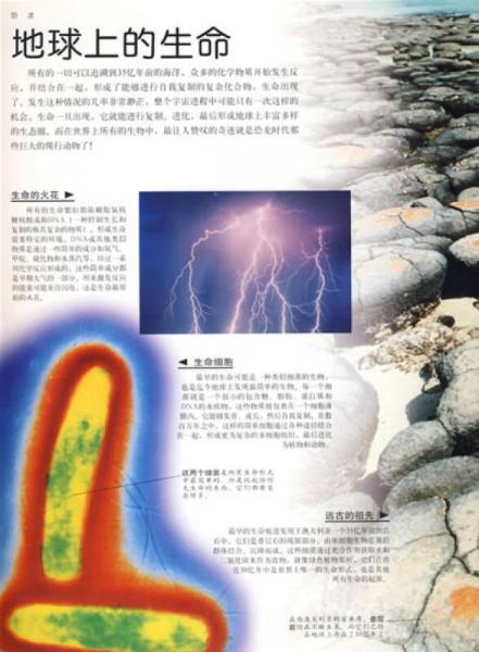 英國DK透視科普書系列：恐龍