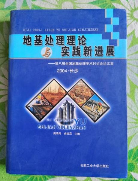 地基處理理論與實(shí)踐新進(jìn)展：第八屆全國(guó)地基處理學(xué)術(shù)討論會(huì)論文集