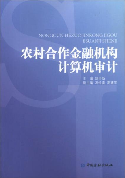 農(nóng)村合作金融機(jī)構(gòu)計(jì)算機(jī)審計(jì)