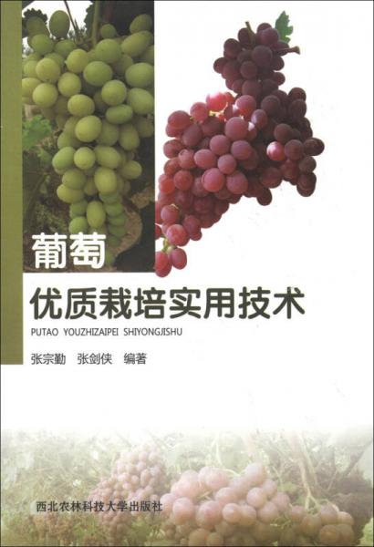 葡萄優(yōu)質(zhì)栽培實用技術(shù)