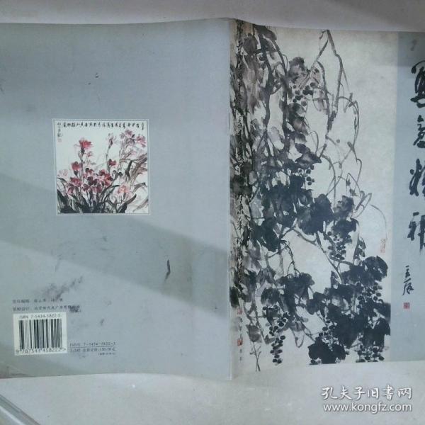 寫意精神：當(dāng)代中國(guó)畫名家作品系列——、陰澎雨5本