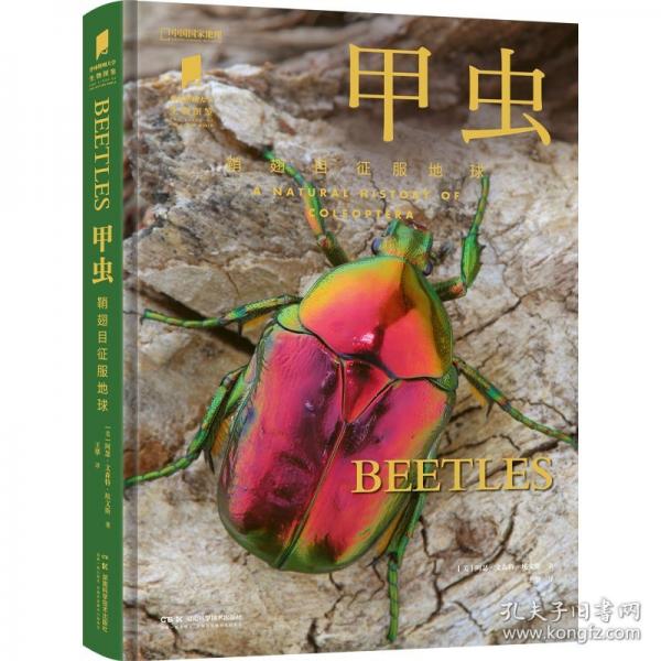 甲蟲(chóng)/[美]阿瑟·文森特·埃文斯