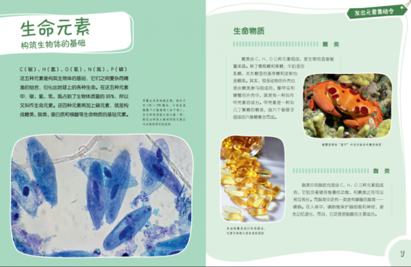 博物少年百科：神奇化学初体验