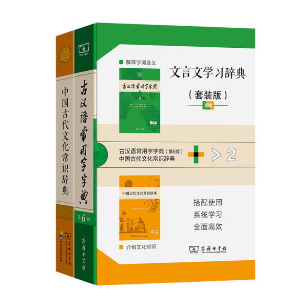 文言文学习辞典 王力