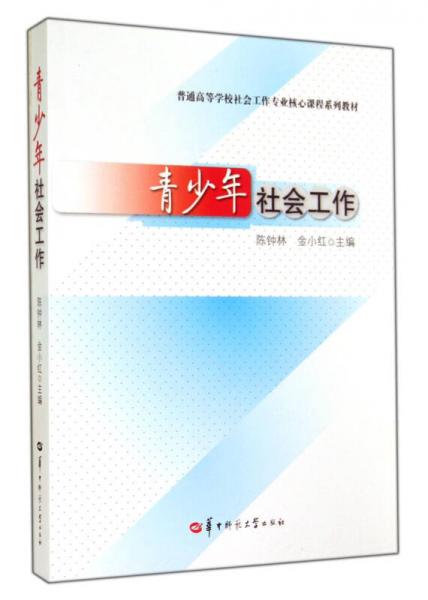 青少年社會(huì)工作(普通高等學(xué)校社會(huì)工作專業(yè)核心課程系列教材)