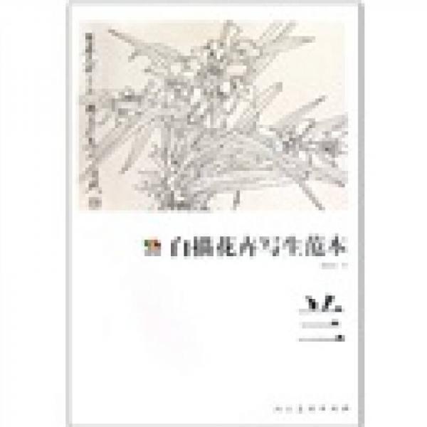 蘭-白描花卉寫生范本