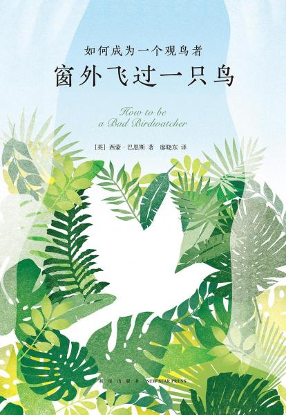 窗外飛過一只鳥