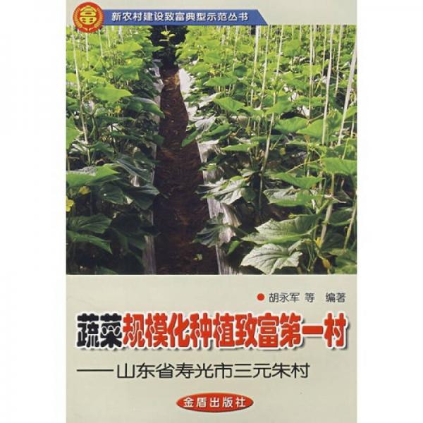 蔬菜规模化种植致富第一村山东省寿光市三元朱村