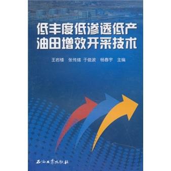 低丰度低渗透低产油田增效开采技术