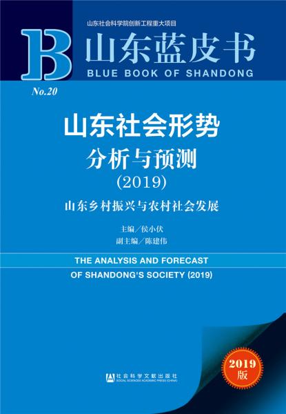 山东蓝皮书：山东社会形势分析与预测（2019）