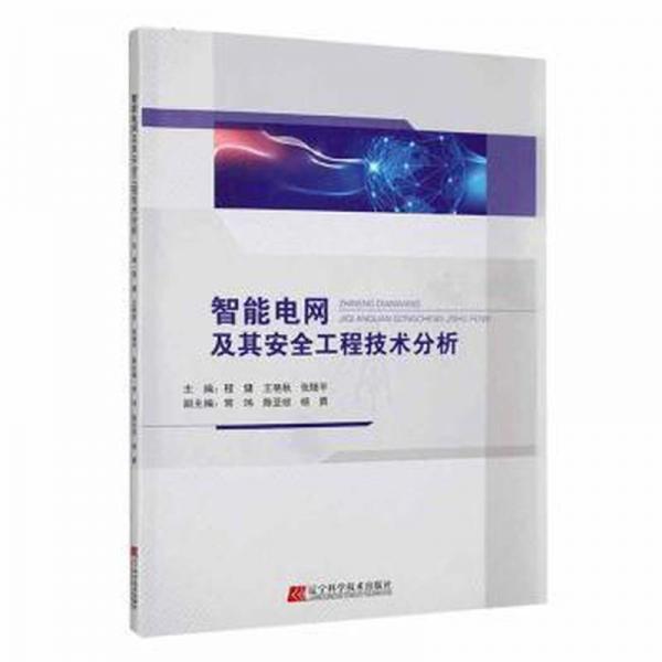 智能電網(wǎng)及其安全工程技術(shù)分析 家電維修 程健，王艷秋，張隨主編 新華正版