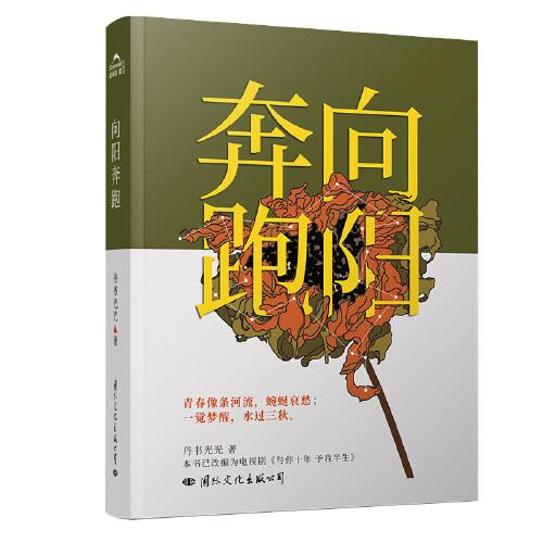 《向陽(yáng)奔跑》（青春像條河流，蜿蜒哀愁；一覺(jué)夢(mèng)醒，水過(guò)三秋。本書(shū)已改編為電視劇《與你十年  予我半生》