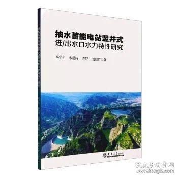 抽水蓄能电站竖井式进/出水口水力特研究