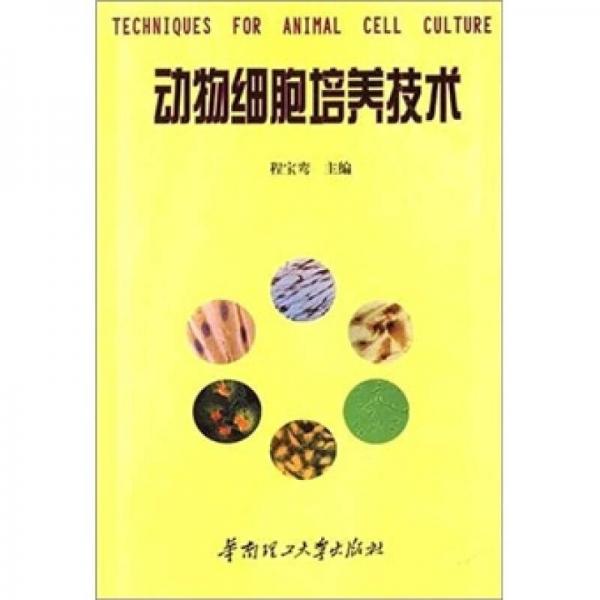 动物细胞培养技术