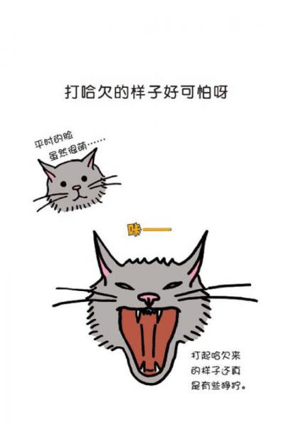 猫咪的100个秘密