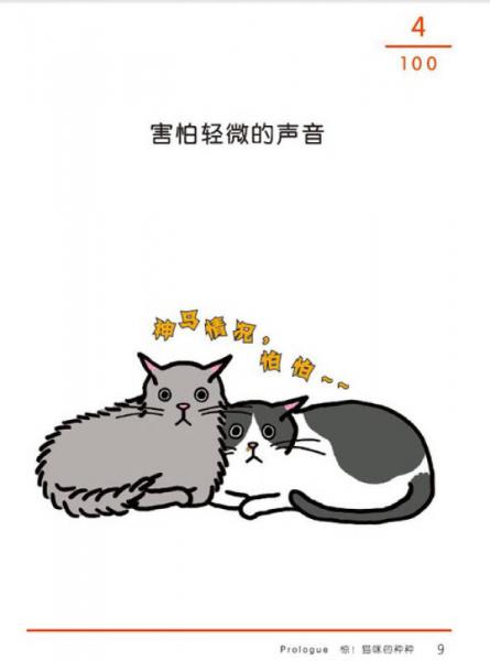 猫咪的100个秘密