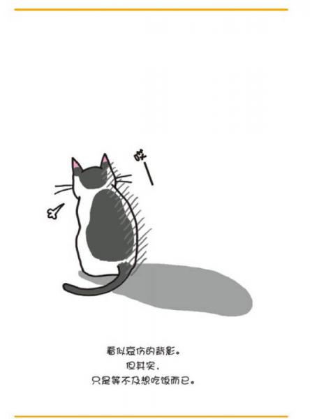 猫咪的100个秘密