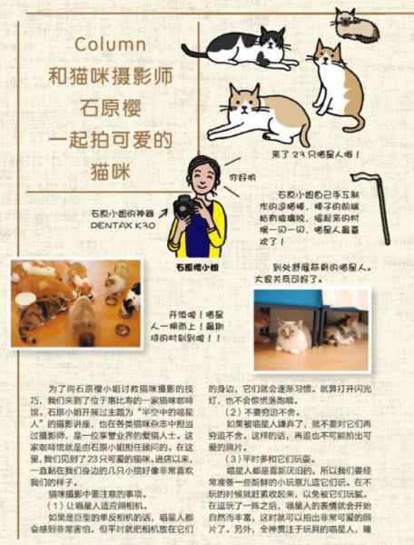 猫咪的100个秘密