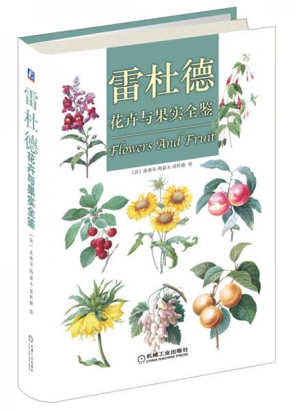 雷杜德