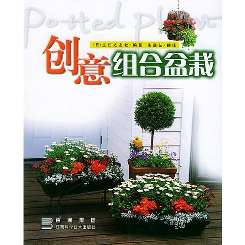 創(chuàng)意組合盆栽