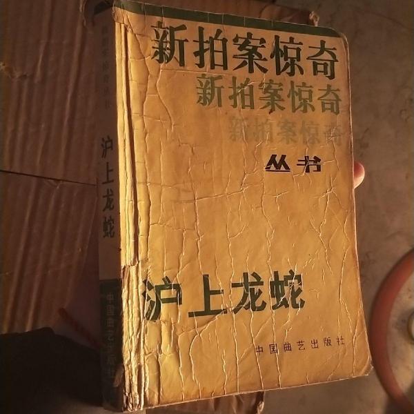 滬上龍蛇
