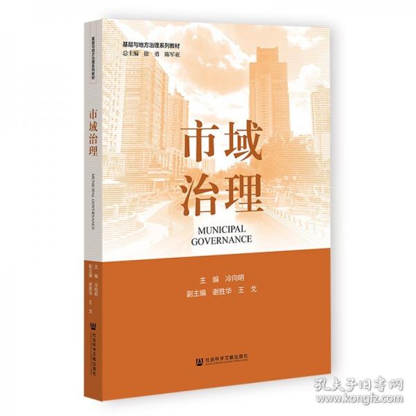 市域治理