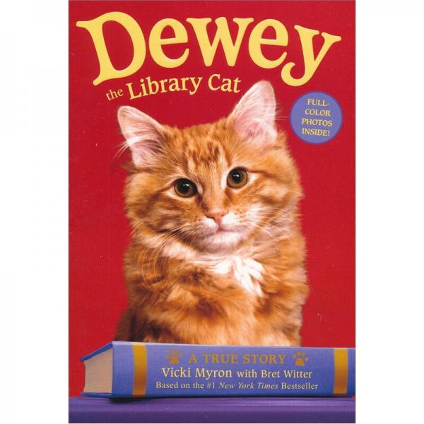 deweythelibrarycatatruestory小猫杜威