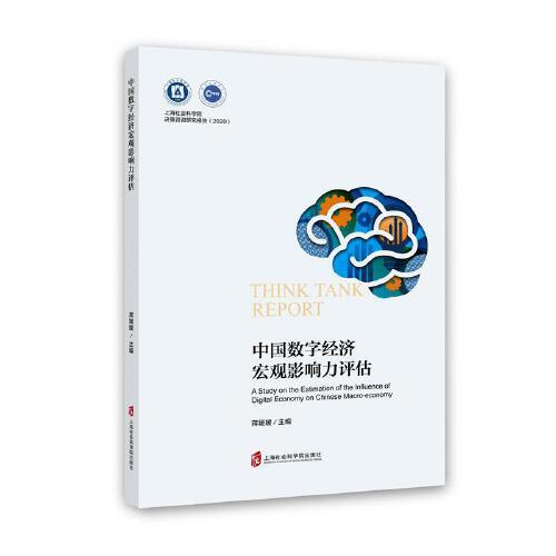 中國數(shù)字經(jīng)濟宏觀影響力評估