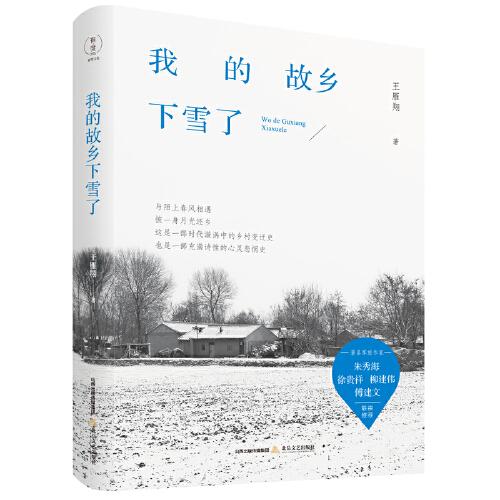 我的故鄉(xiāng)下雪了