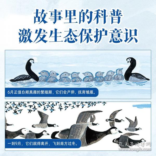 到新世界去 阿部弘士動物主題繪本樂樂趣3-6歲兒童繪本圖畫書