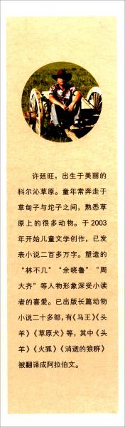 少年马王/许廷旺大草原动物小说