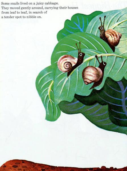 Biggest House in the World世界上最大的房子 英文原版