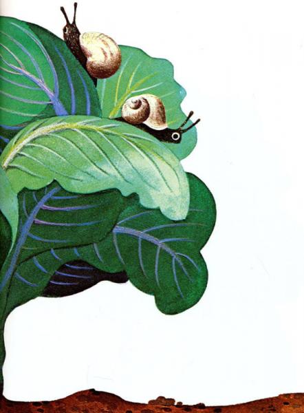 Biggest House in the World世界上最大的房子 英文原版