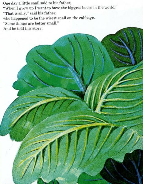 Biggest House in the World世界上最大的房子 英文原版