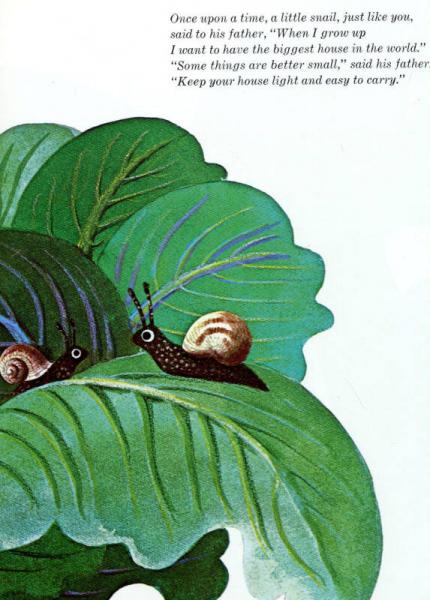 Biggest House in the World世界上最大的房子 英文原版