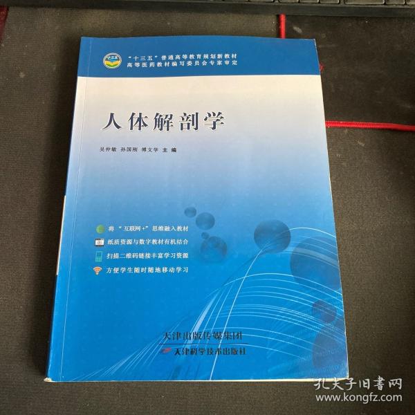人體解剖學(xué)