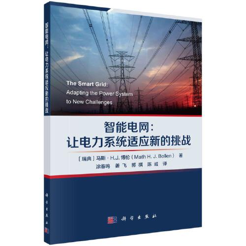 智能電網(wǎng)：應(yīng)對(duì)電力系統(tǒng)新挑戰(zhàn)的先進(jìn)技術(shù)