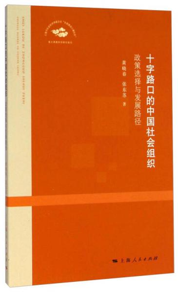 十字路口的中國社會組織：政策選擇與發(fā)展路徑