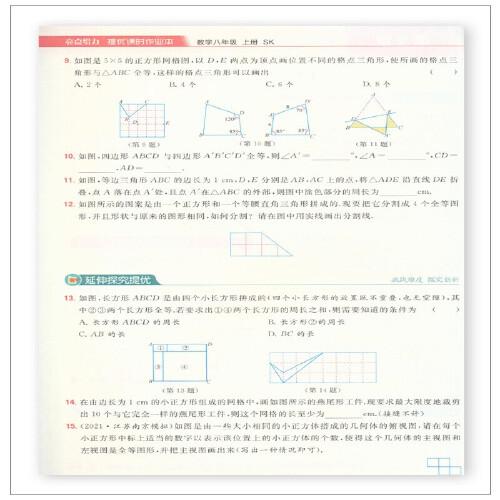 2022秋亮点给力提优课时作业本八年级数学上册苏科版中学教辅课本同步全解复题库辅导教辅练册