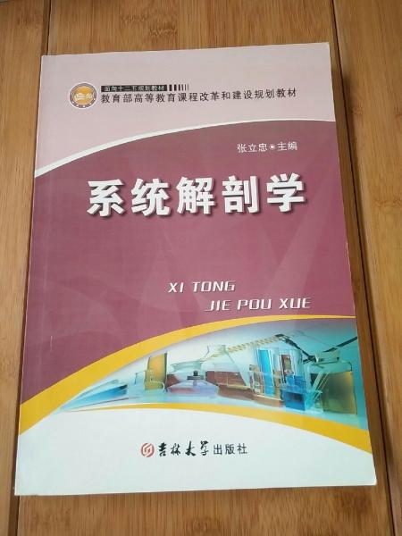 系统解剖学