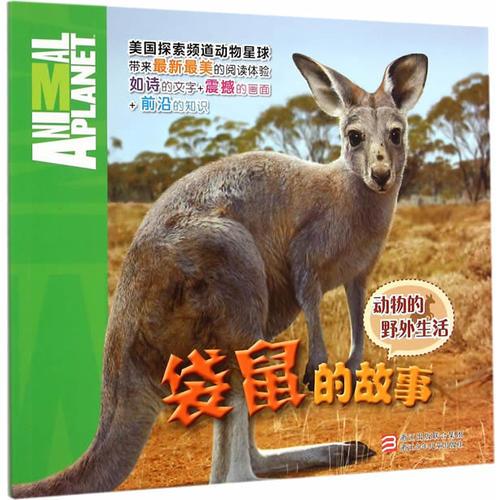动物的野外生活：袋鼠的故事