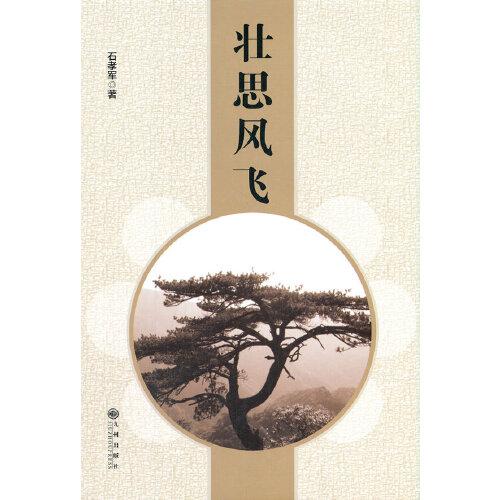 壯思風(fēng)飛