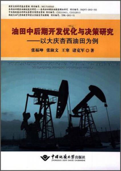 油田中后期开发优化与决策研究 以大庆杏西油田为例