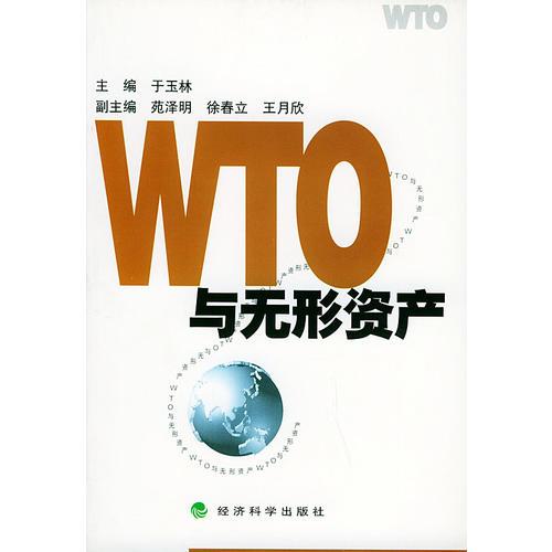 WTO与无形资产