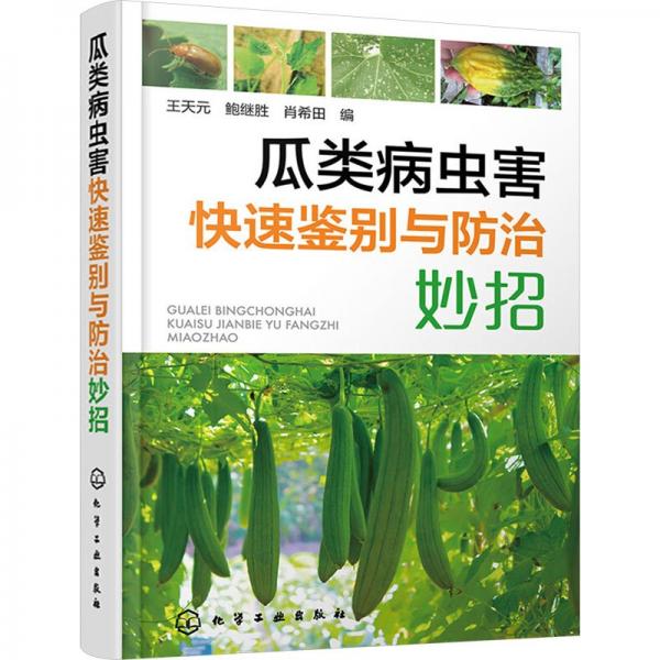 瓜類病蟲害快速鑒別與妙招