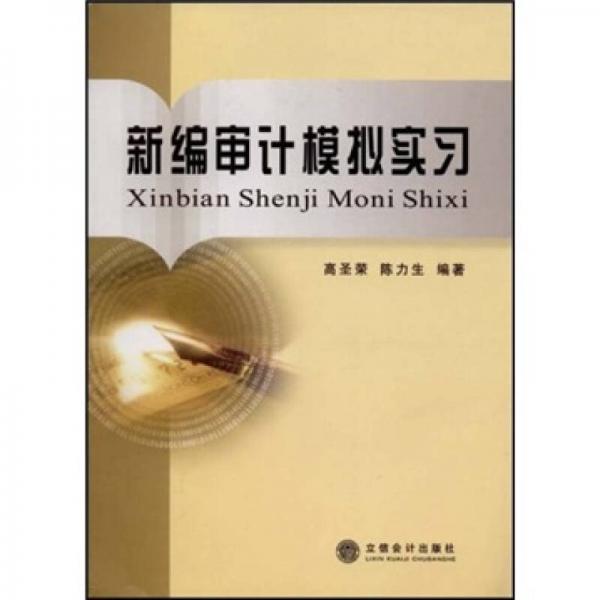 新編審計(jì)模擬實(shí)習(xí)