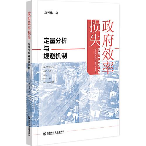 政府效率損失：定量分析與規(guī)避機(jī)制